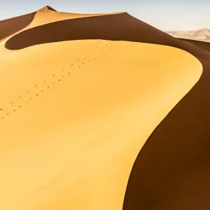 The S Dune