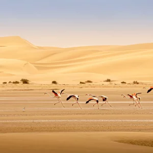 Running buddies large