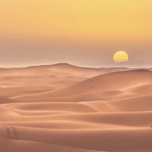 Last 2020 Sunset Large