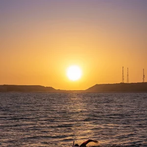 Swimming in the Sunset