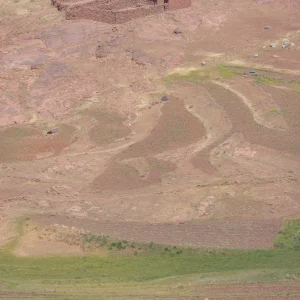 Agriculteur - Plateau Yagour