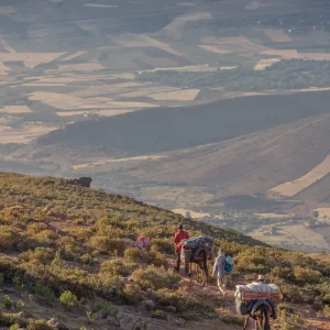 Descente vers la plaine de Marrakech