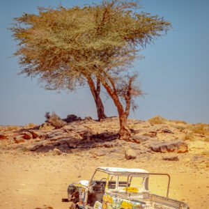 Perdue au milieu du désert