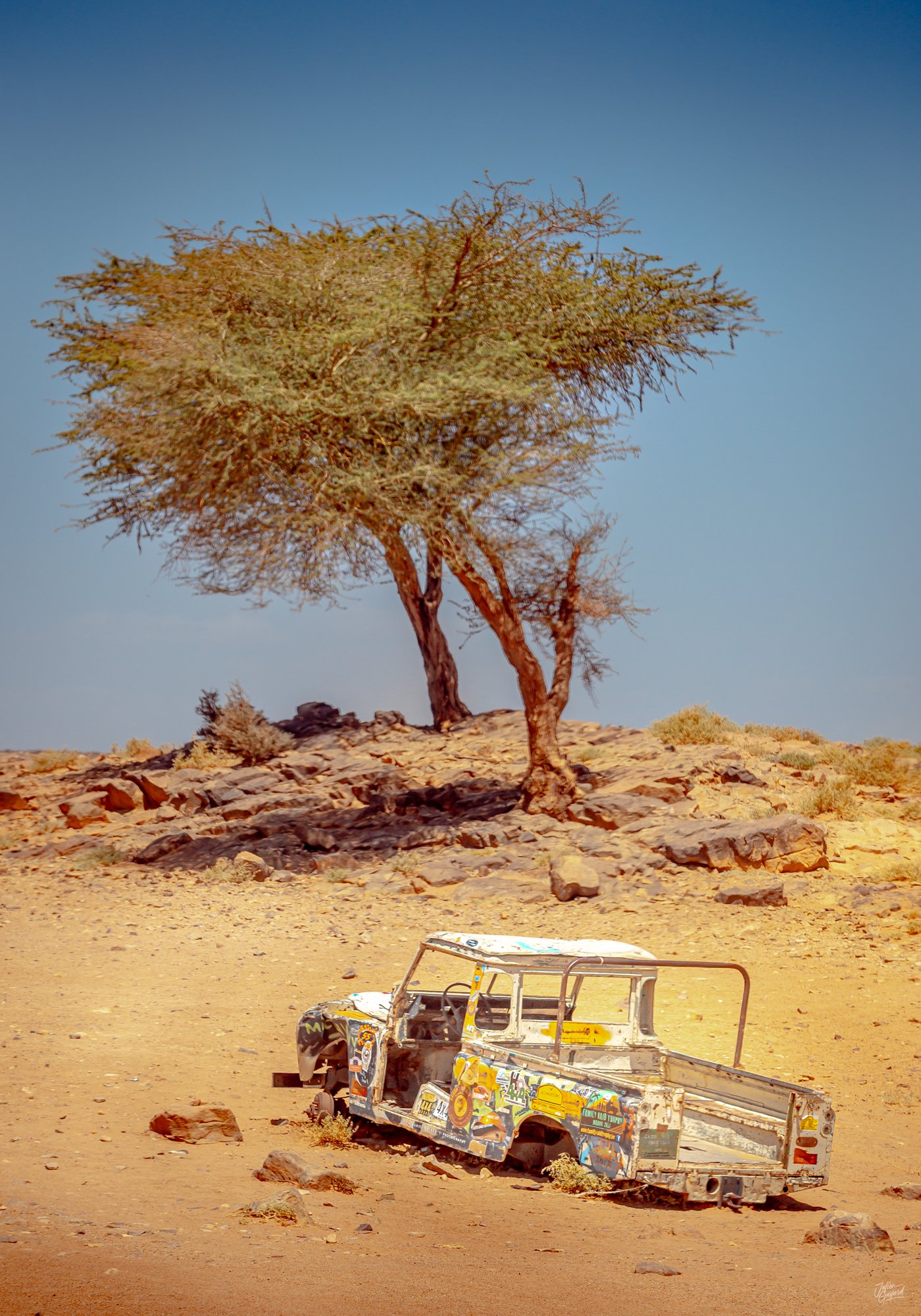 Perdue au milieu du désert