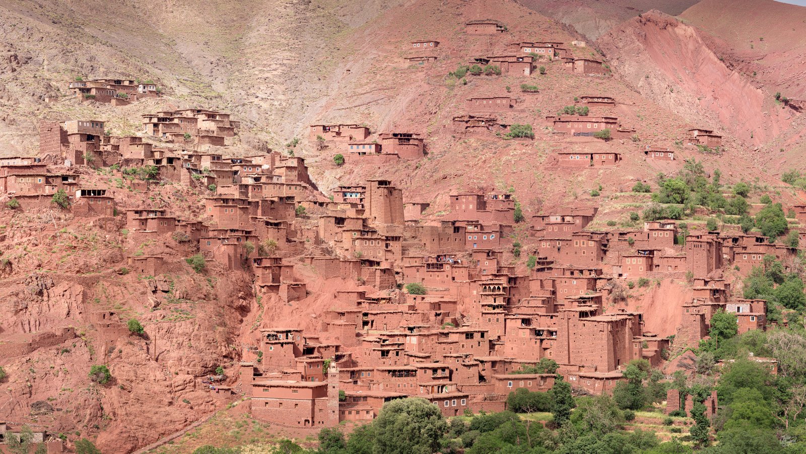 250528-250528-28052025 - 4N5A7915-42x75