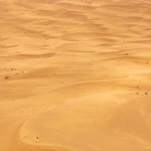 Dunes’ Surfer